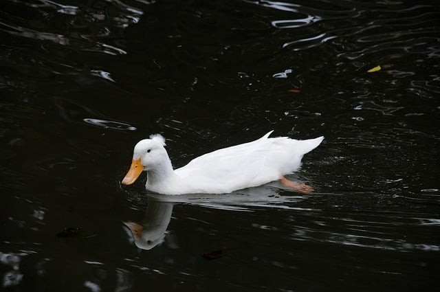 成都市新世紀(jì)文化職業(yè)技術(shù)學(xué)院2025年招生錄取分?jǐn)?shù) 成都市新世紀(jì)文化職業(yè)技術(shù)學(xué)院2025年招生錄取分?jǐn)?shù)