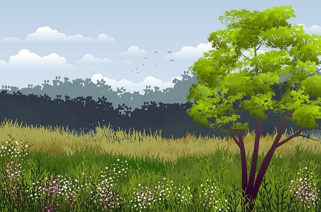 四川單招培訓(xùn)班達(dá)州校區(qū)，四川單招培訓(xùn)班達(dá)州校區(qū)有哪些