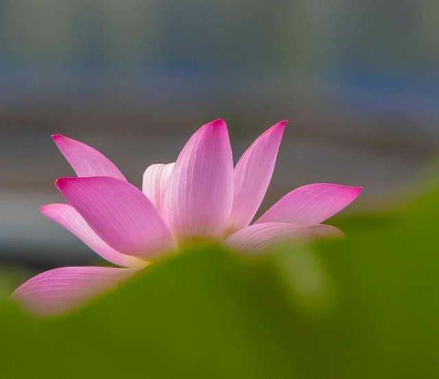 合江縣先市職業(yè)高級中學(xué)2025年招生錄取分數(shù)線