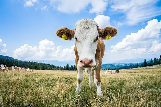 南充交通職業(yè)學(xué)校就業(yè)前景