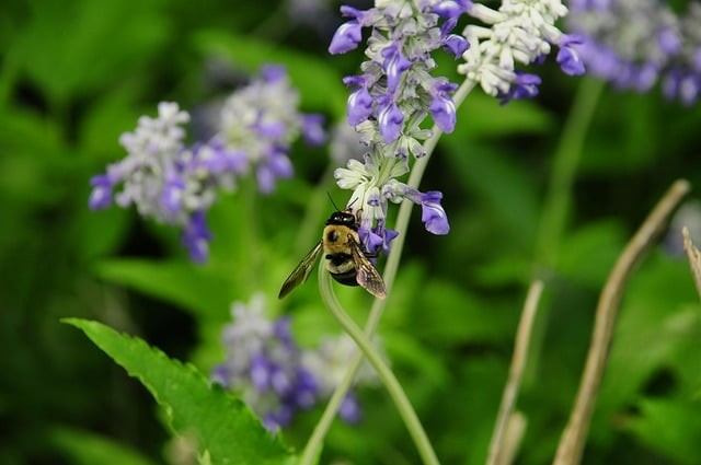 四川單招的一些大學