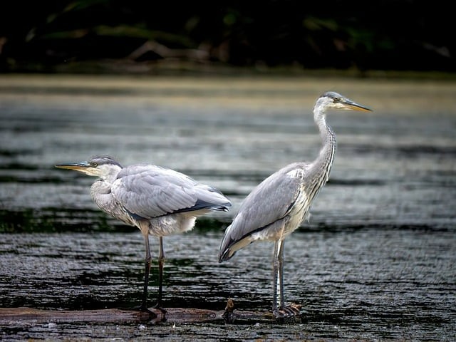 四川單招復習資料套卷