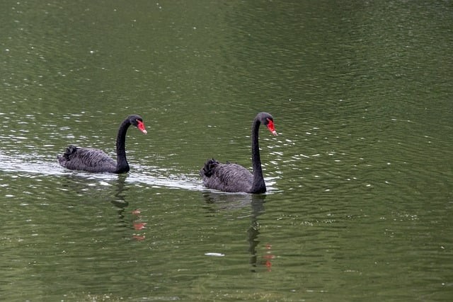 巴中市第三中學(xué)2024招生簡介