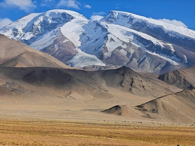 成都市石室中學(xué)2025年招生簡(jiǎn)介