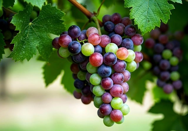 四川省渠縣中學(xué)辦學(xué)條件