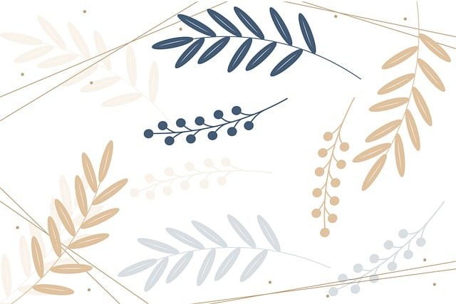 四川單招培訓(xùn)天輔星，四川單招培訓(xùn)最好的學(xué)校