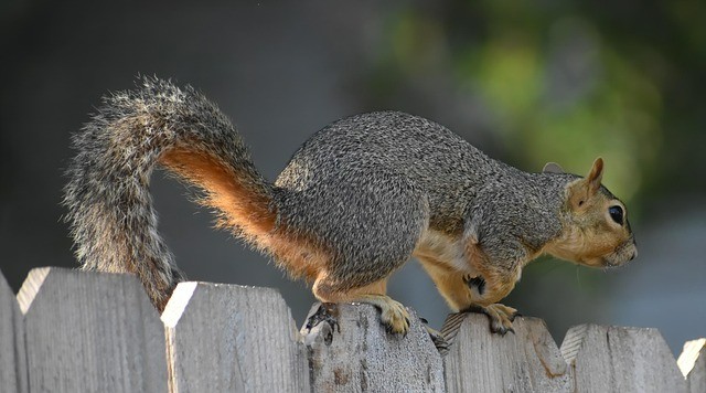 四川單招旅游類民辦