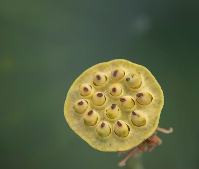 四川單招民辦學(xué)院學(xué)費(fèi)