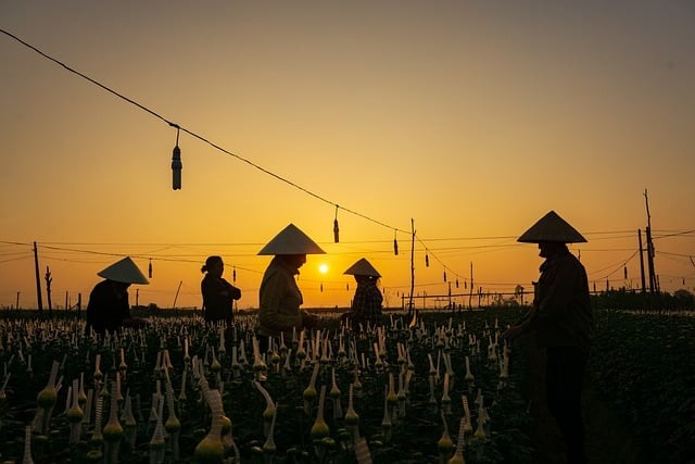 成都市機(jī)電工程學(xué)校2025年軍訓(xùn)情況