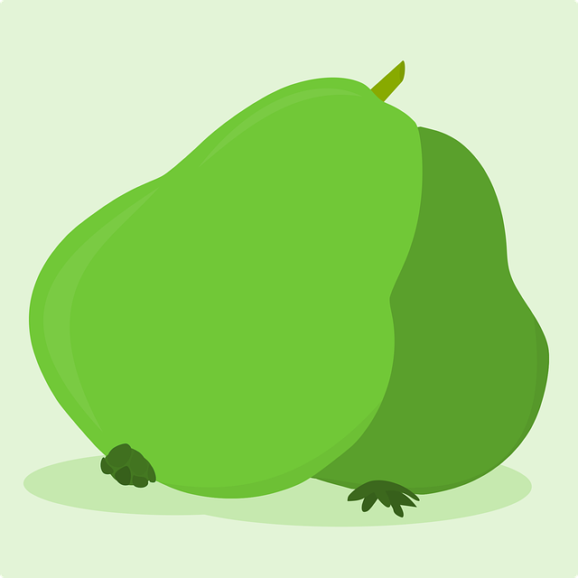 西充單招培訓(xùn)學(xué)校有哪些，西充縣招辦電話