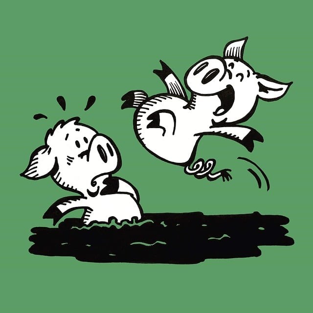 南充中等專業(yè)學(xué)校(南充中專學(xué)校)春季招生簡章