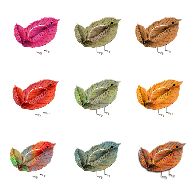 成都新都區(qū)單招培訓(xùn)學(xué)校，成都單招培訓(xùn)學(xué)校招生簡(jiǎn)章