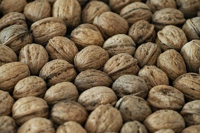 四川單招學(xué)校官網(wǎng)崩了 四川單招學(xué)校官網(wǎng)崩了