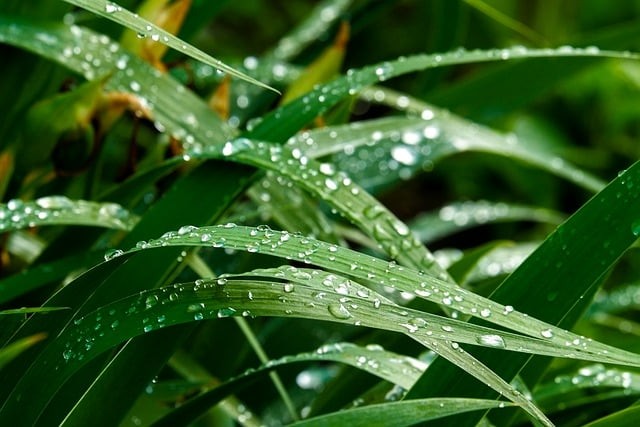 四川其他單招培訓(xùn)機(jī)構(gòu) 四川其他單招培訓(xùn)機(jī)構(gòu)