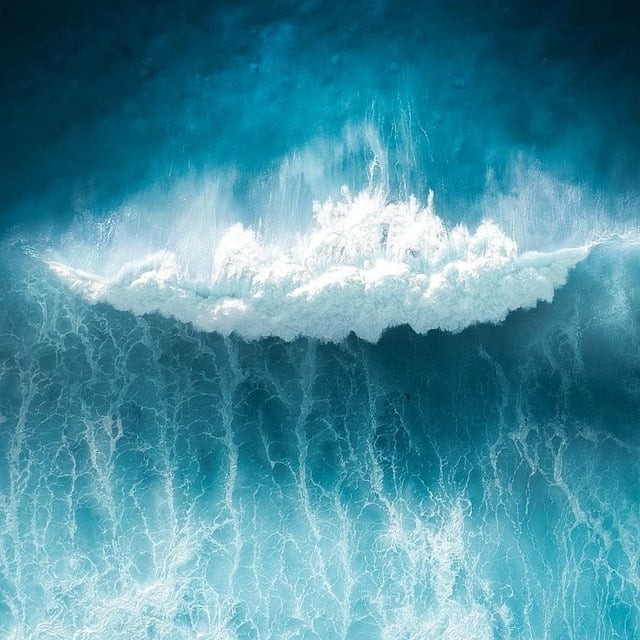 四川單招大學(xué)公辦分?jǐn)?shù) 四川單招大學(xué)公辦分?jǐn)?shù)