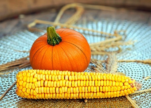 四川單招各大學排名 四川單招各大學排名