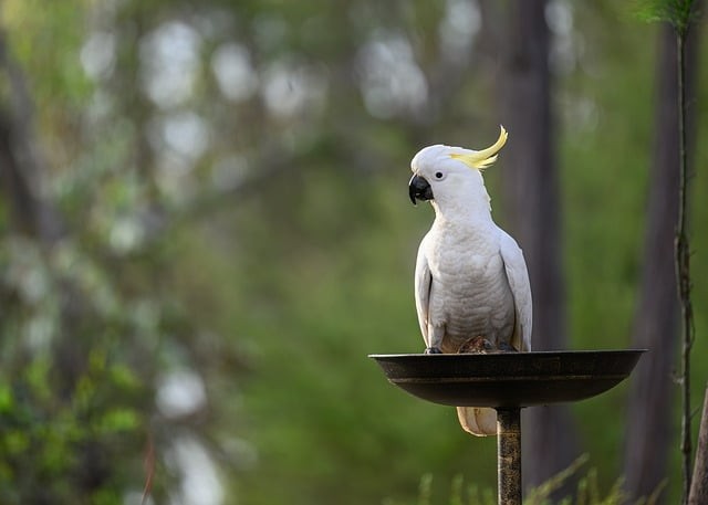 成都市鐵路工程學(xué)校2025年招生計(jì)劃是多少？學(xué)校性質(zhì)