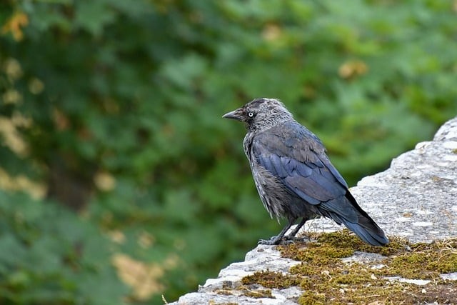 四川單招宜賓蔣老師 四川單招宜賓蔣老師