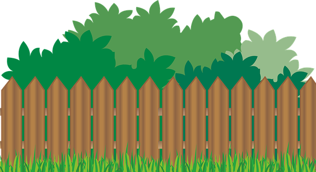 四川單招個(gè)人怎么報(bào)名的