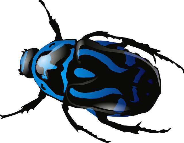 四川省單招培訓(xùn)班成都，四川單招學(xué)校成都