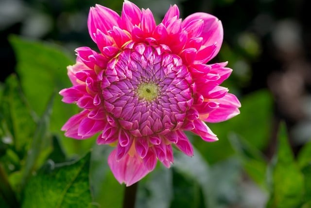 四川單招總分和科目