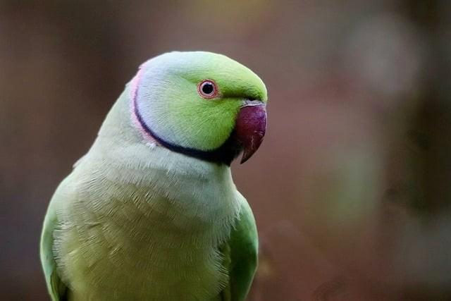 四川單招攝影專(zhuān)業(yè)的學(xué)校