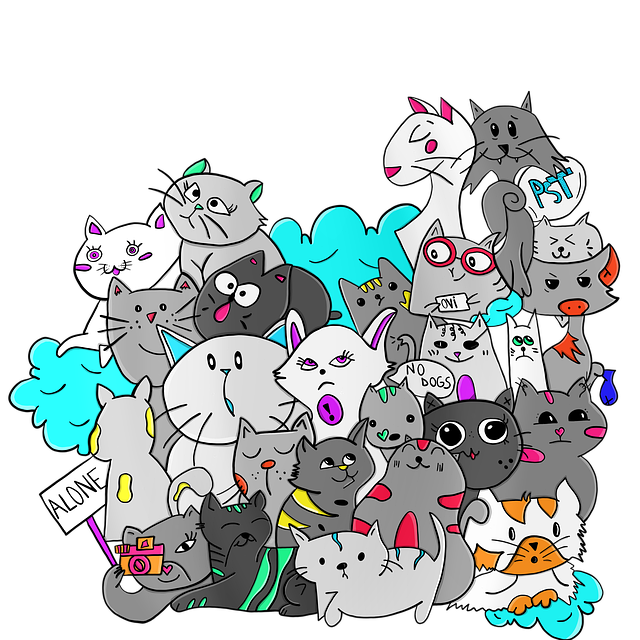 成都培訓(xùn)基地單招，成都有哪些單招培訓(xùn)機(jī)構(gòu)