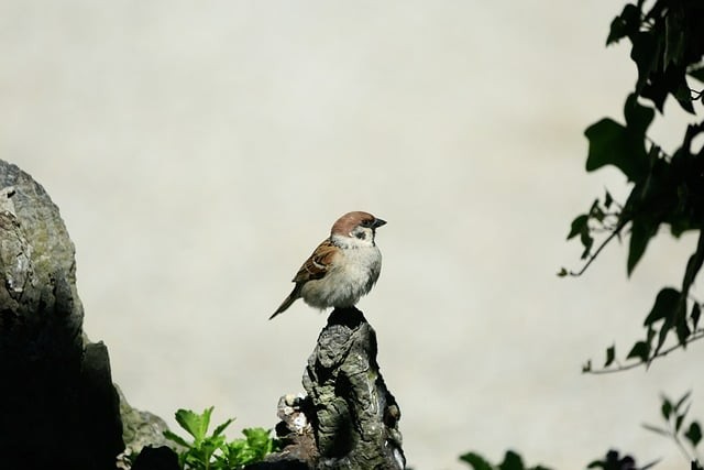 成都市工程職業(yè)技術(shù)學(xué)校助學(xué)政策有哪些？學(xué)校地址在哪