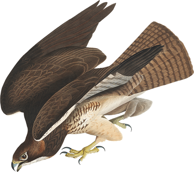 甘孜州得榮縣單招培訓新亞單招，甘孜州得榮縣今日新聞