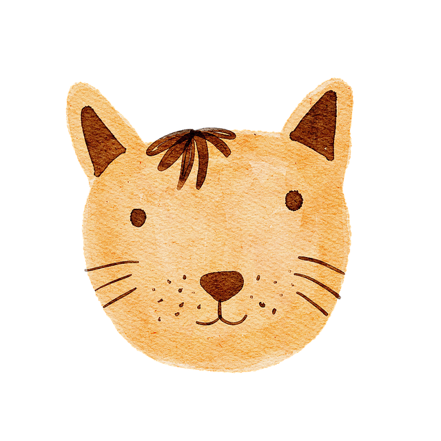 單招培訓(xùn)機(jī)構(gòu)四川溫江，四川成都單招培訓(xùn)