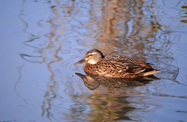 四川單招往屆考題