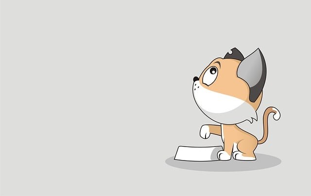 四川單招培訓(xùn)班南充，2021南充單招學(xué)校有哪些