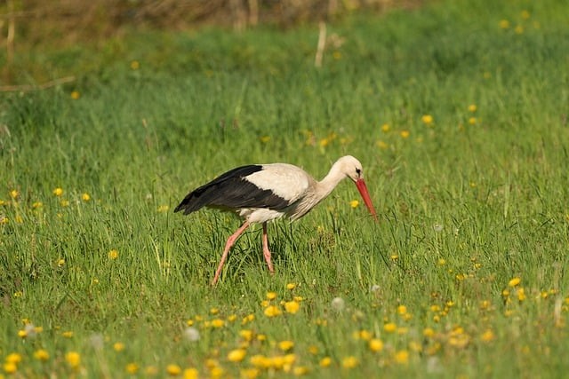 四川單招宜賓蔣老師 四川單招宜賓蔣老師