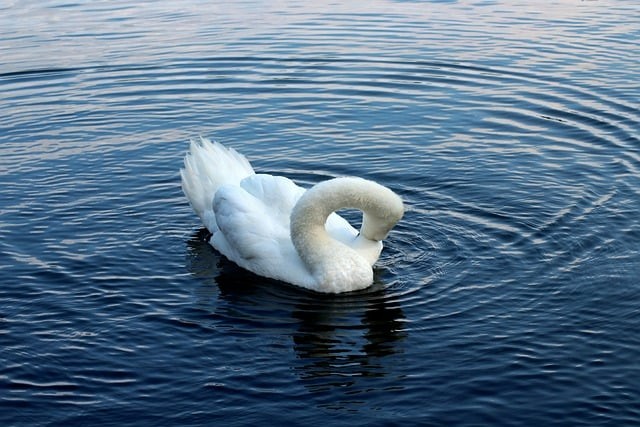 四川單招400分專業(yè)