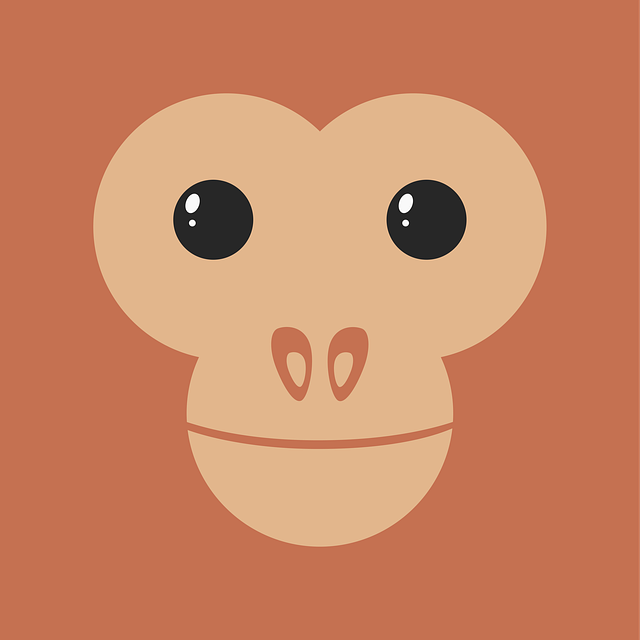 成都明陽(yáng)單招位置在哪里，成都明陽(yáng)教育