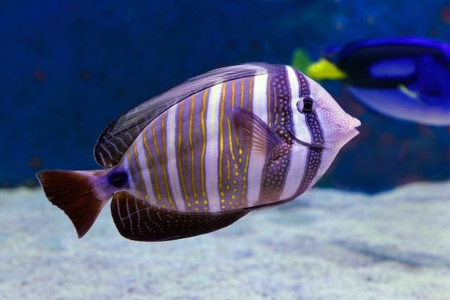 四川中職單招土木類專業(yè)