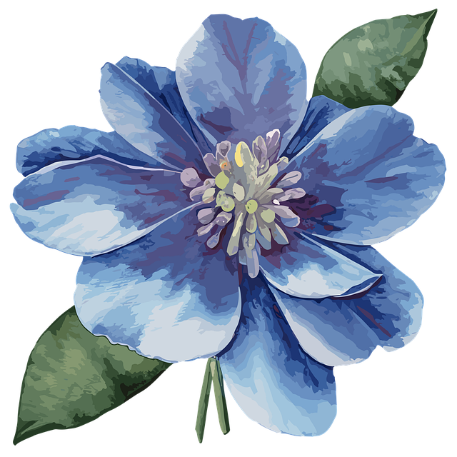 四川射洪市單招培訓機構，四川射洪市單招培訓機構有哪些