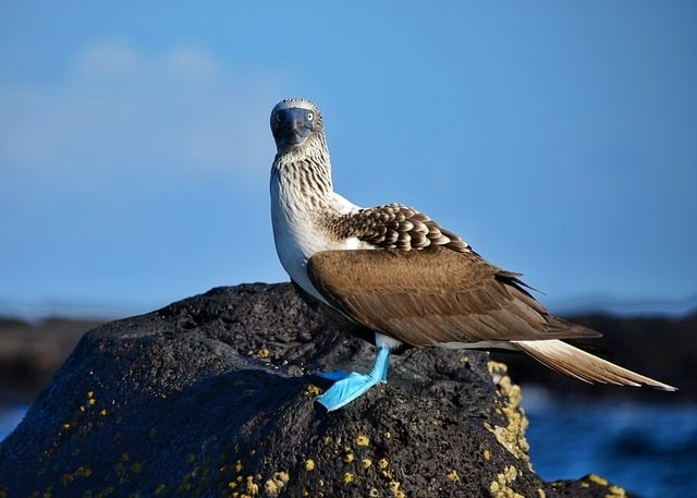 四川單招小課堂數(shù)學(xué)真題及答案