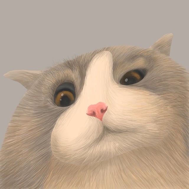 貴州警官職業(yè)學(xué)院中專部招生簡(jiǎn)介