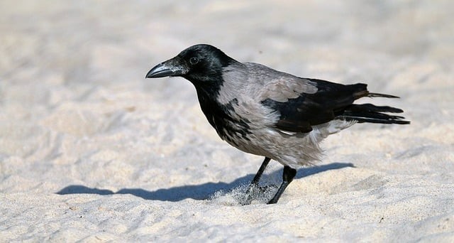 武勝嘉陵職業(yè)技術(shù)學(xué)校2025年錄取分?jǐn)?shù)線