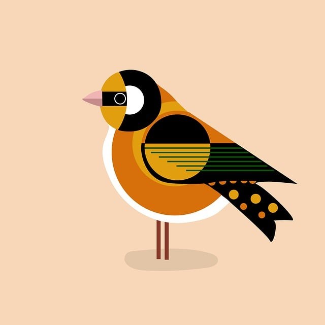 成都大豐單招培訓(xùn)機構(gòu)，成都大豐藝術(shù)培訓(xùn)學(xué)校