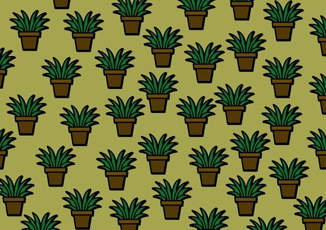 四川省電子商務學校公辦還是民辦，改不好，怎么樣