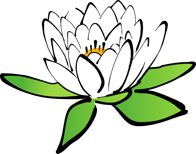 成都溫江美思單招培訓(xùn)，成都美思單招培訓(xùn)學(xué)校學(xué)費(fèi)