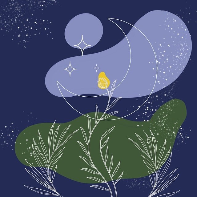 四川社會(huì)生單招培訓(xùn)基地，四川省單招培訓(xùn)機(jī)構(gòu)