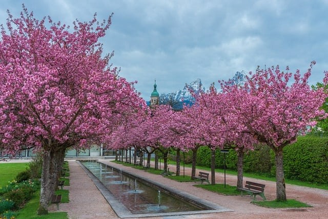 四川單招復(fù)數(shù)考不