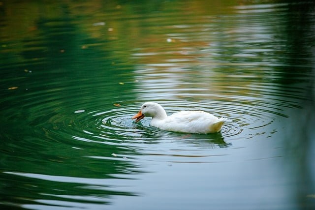四川單招有必要找機(jī)構(gòu)嗎