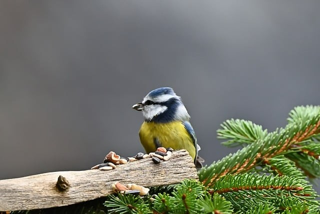 四川省礦產(chǎn)機(jī)電技師學(xué)院2024經(jīng)濟(jì)管理系招生計(jì)劃