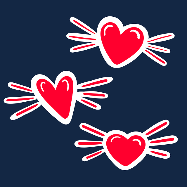 宜賓單招培訓(xùn)集訓(xùn)，宜賓單招考試網(wǎng)