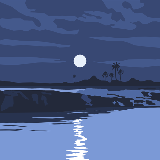 四川單招投檔結(jié)束了嗎