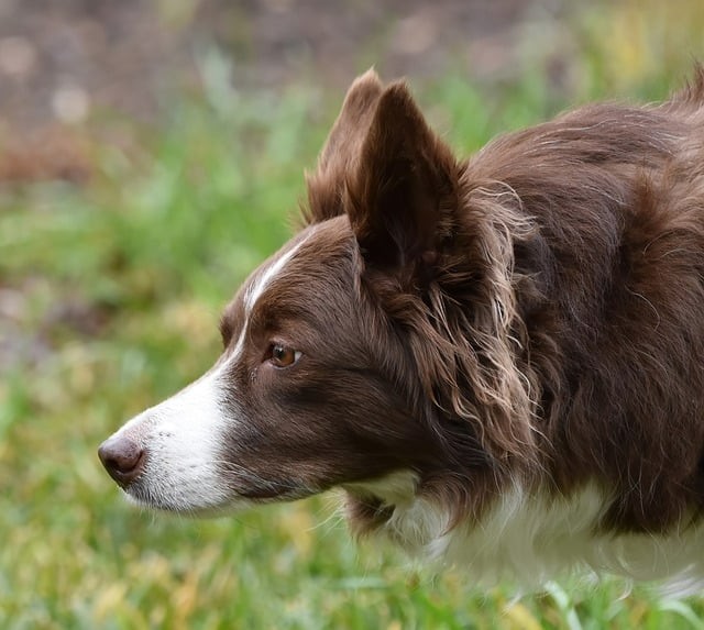 安縣職業(yè)中專學(xué)校2025年招生錄取分?jǐn)?shù)線 安縣職業(yè)中專學(xué)校2025年招生錄取分?jǐn)?shù)線